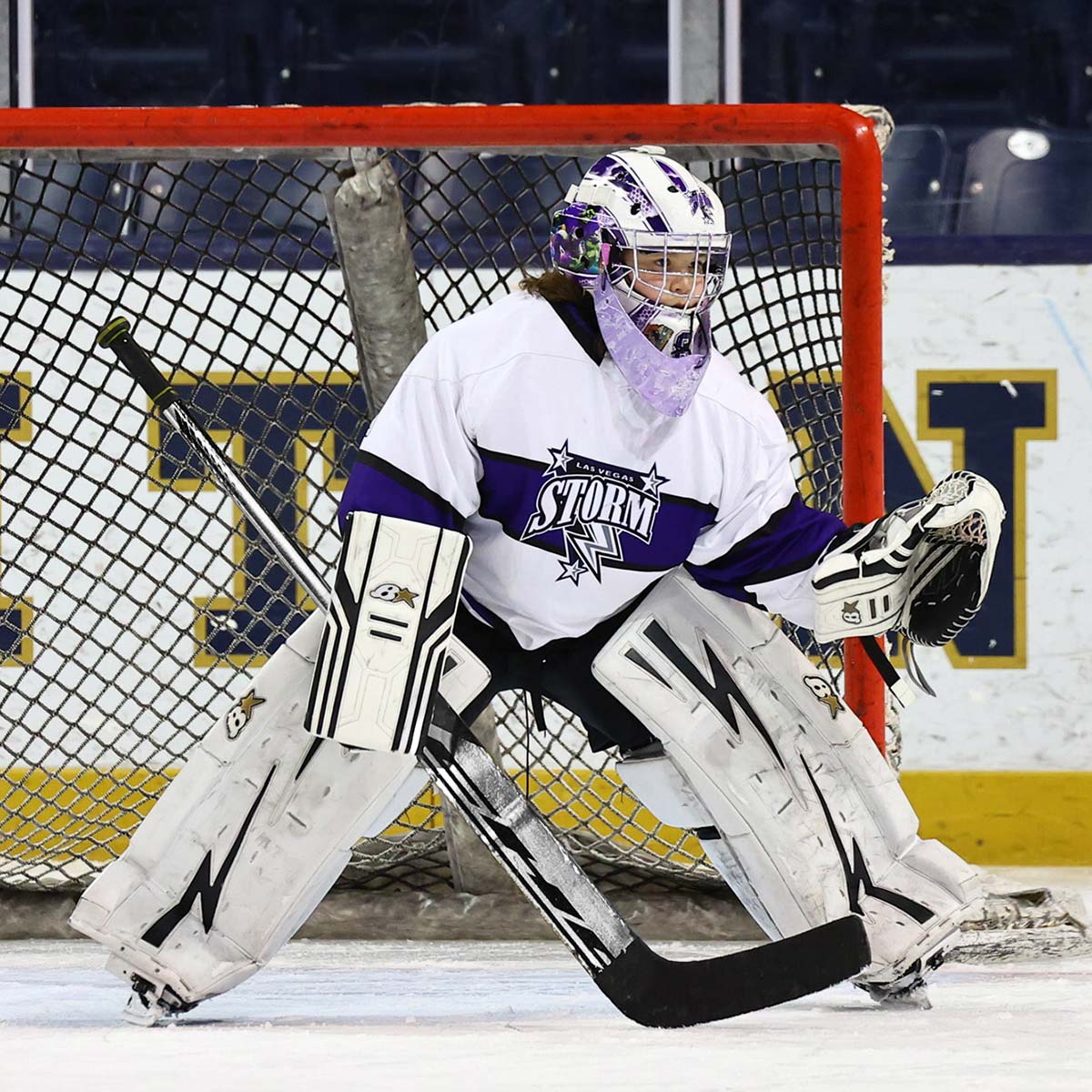 Custom Goalie Stick