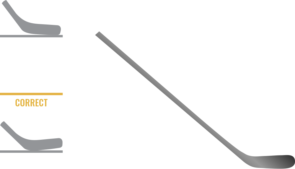 RCMP Hockey Sticks Custom Hockey Sticks CHS Fully Customizable